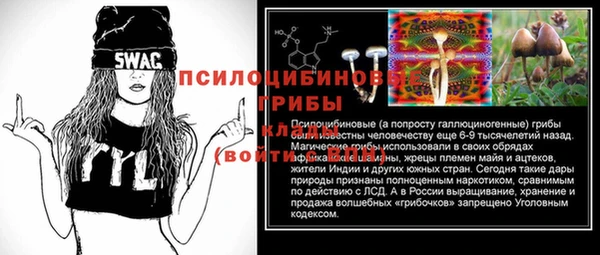 ГАЛЛЮЦИНОГЕННЫЕ ГРИБЫ Медногорск