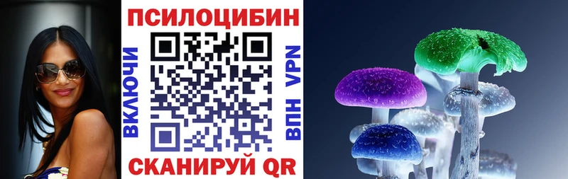 Псилоцибиновые грибы мицелий  Нестеров 